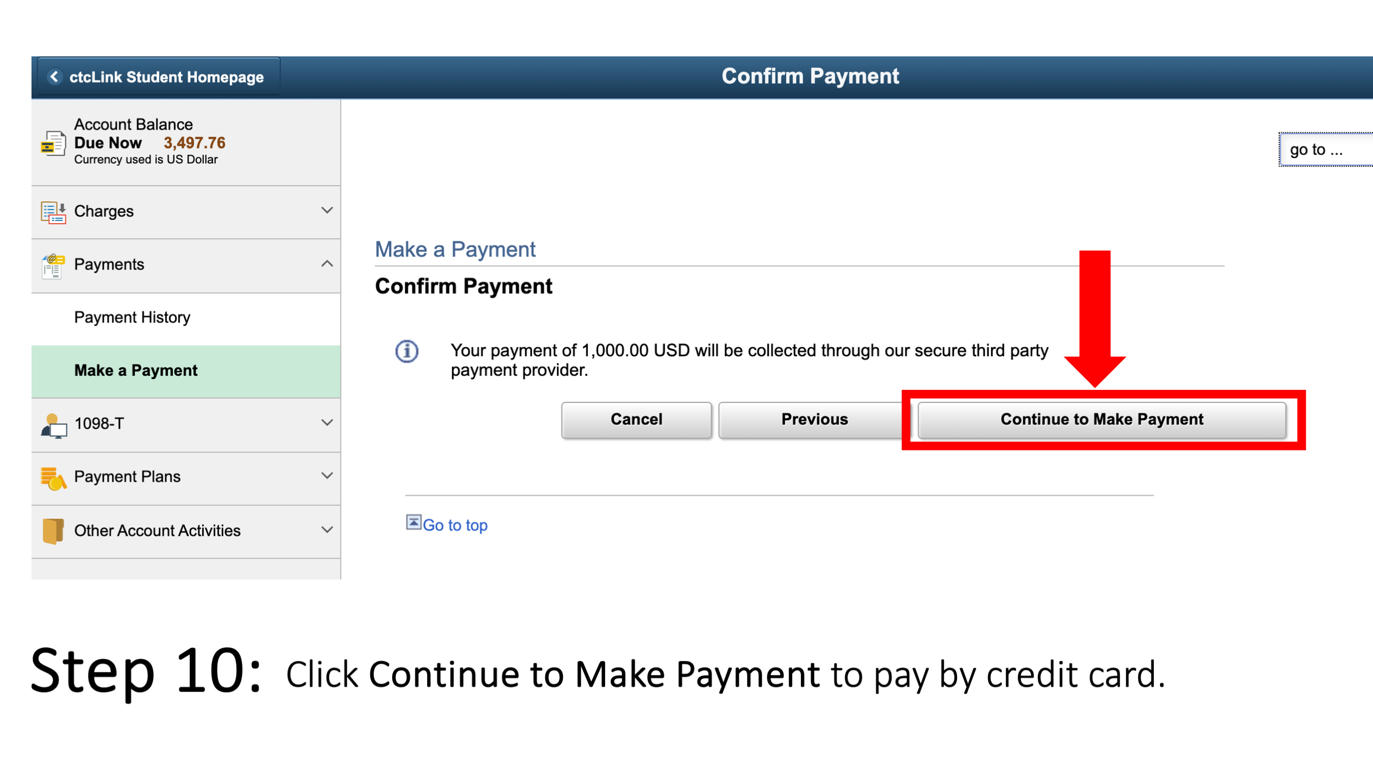 Click Continue to Make Payment to pay by credit card.