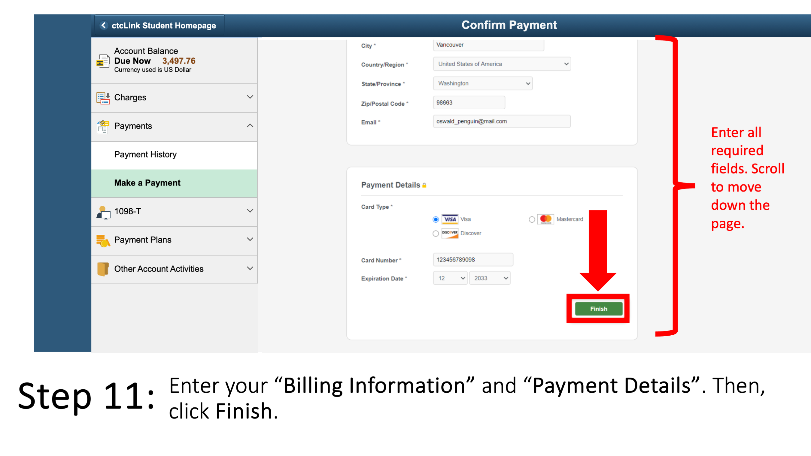 Enter your “Billing Information” and “Payment Details”. Then, click Finish. Enter all required fields. Scroll to move down the page.