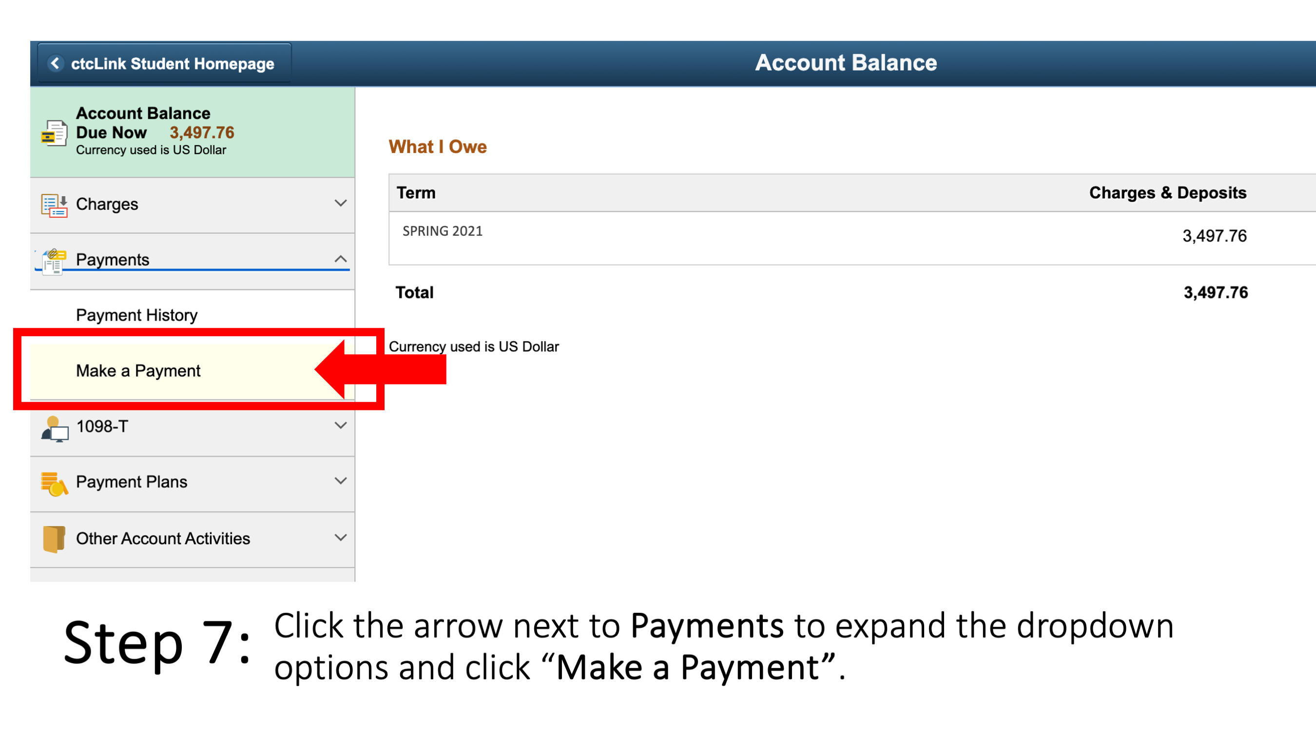 Click the arrow next to Payments to expand the dropdown options and click “Make a Payment”.