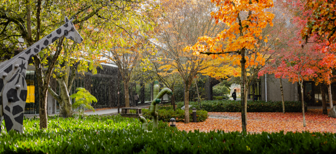 North Seattle courtyard in the Fall