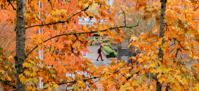 North Seattle foliage, student walking in the distance