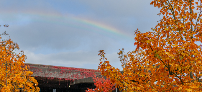 North Seattle exterior building with rainbow above