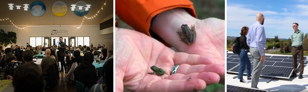 Triptych image with a community dinner image, tree frogs in a person's hands, and people standing on a roof among solar panels